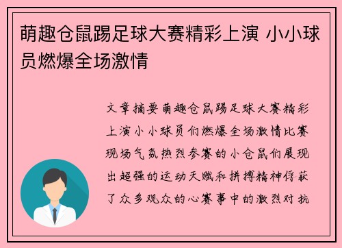萌趣仓鼠踢足球大赛精彩上演 小小球员燃爆全场激情