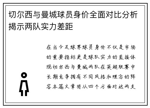 切尔西与曼城球员身价全面对比分析揭示两队实力差距